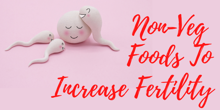 foods to increase fertility in female